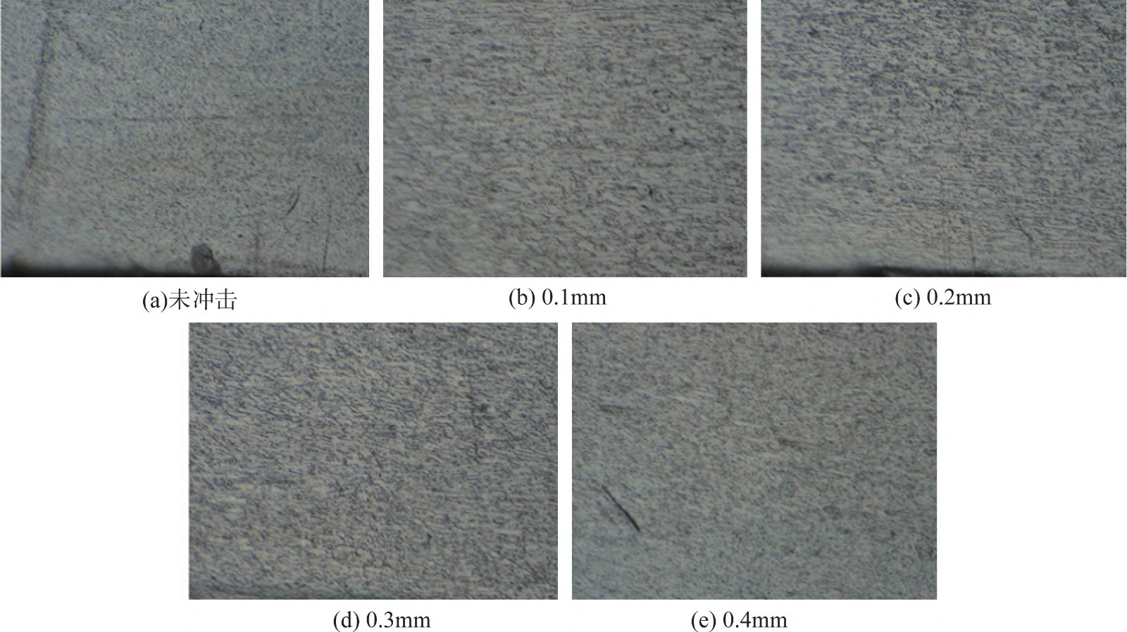 1712924184503202.jpg 12.jpg