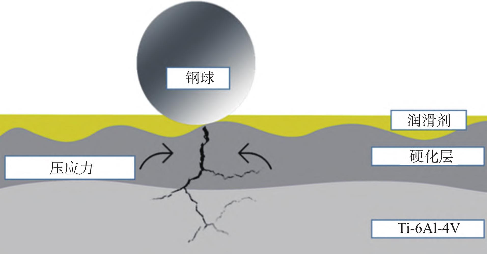 1712924207151628.jpg 13.jpg