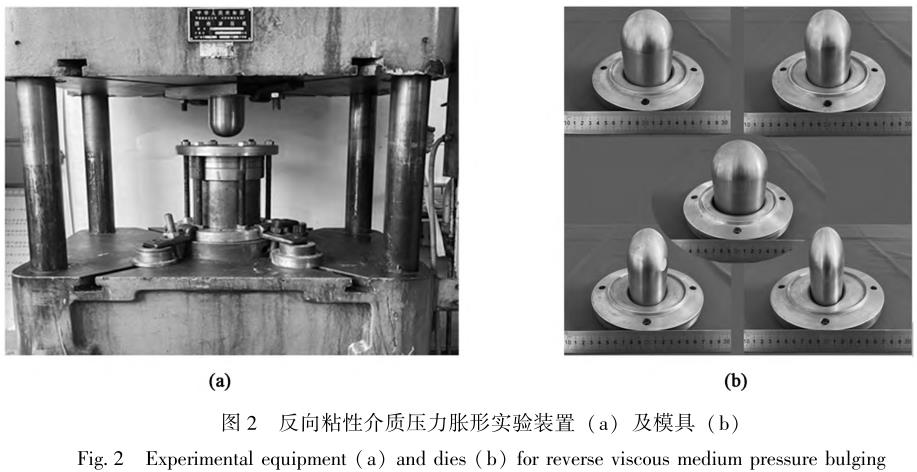 1713100417338553.jpg 360截圖16270901224030.jpg