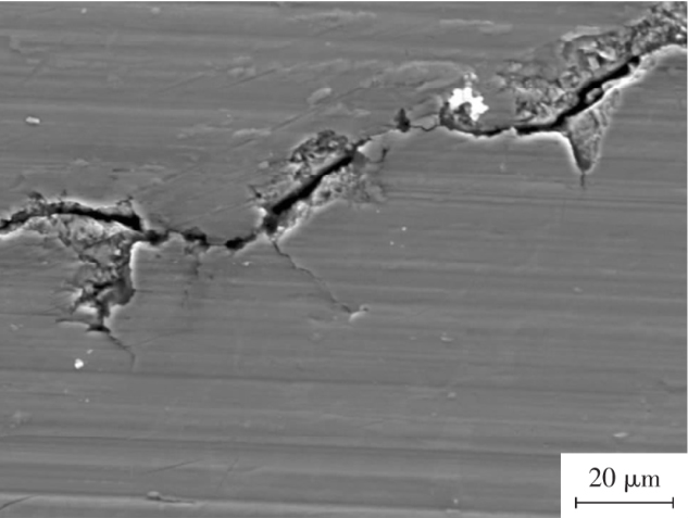 1713970136915198.jpg 2.jpg