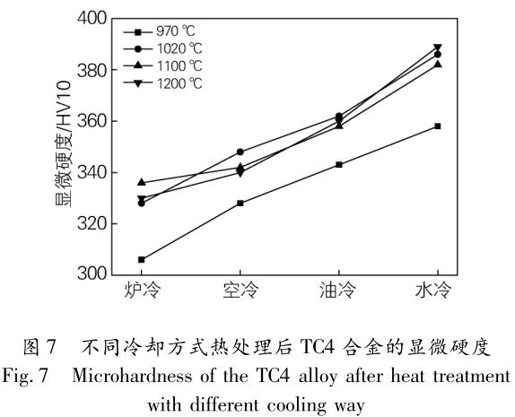 1704926460180825.jpg t7.jpg