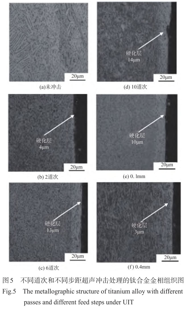 1708310198288389.jpg t5.jpg