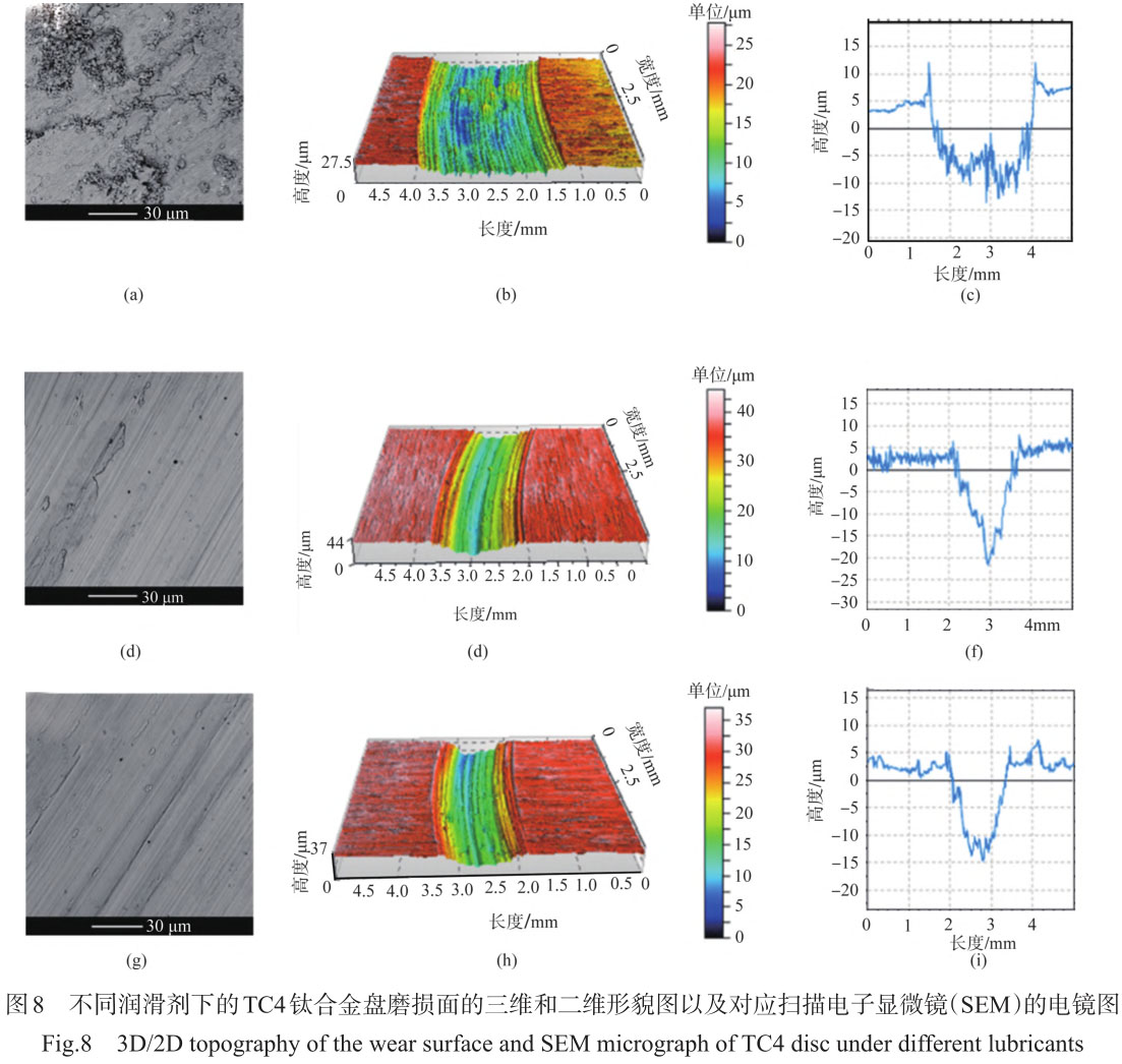 1708310225563730.jpg t8.jpg