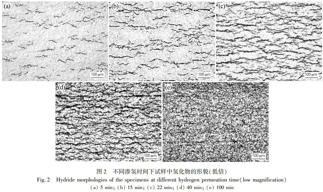 1736775463897743.png 截圖20250113213541.png