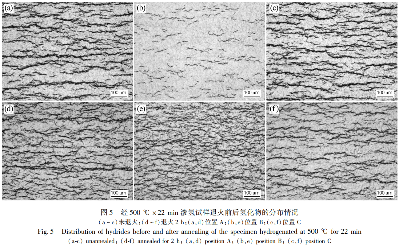 1736775495204273.png 截圖20250113213623.png