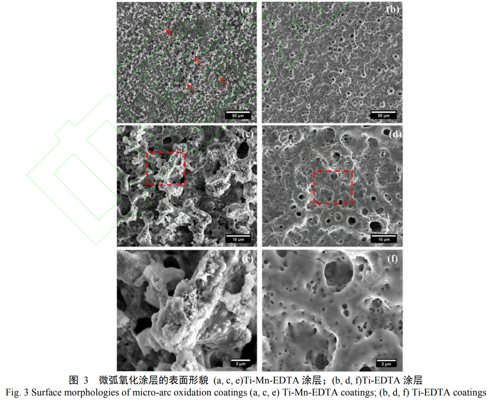 1738673761417855.png 3.png